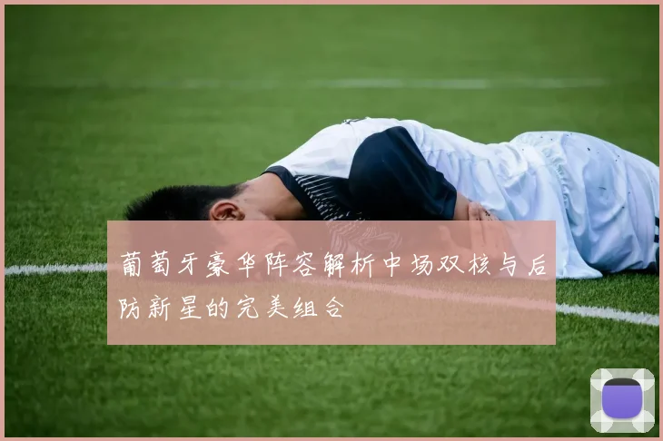 葡萄牙豪华阵容解析中场双核与后防新星的完美组合
