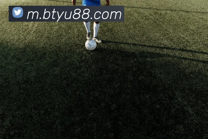 B体育平台生态图